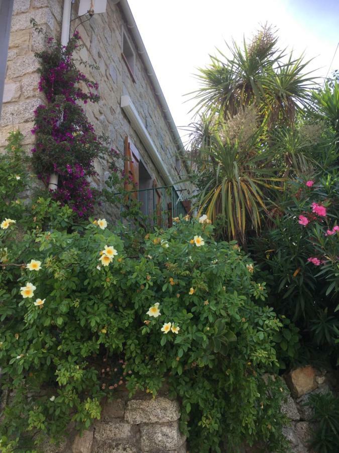 GITE , Maison de vacances avec extérieur et terrasse fleurie Villa Santa-Lucia-di-Tallano Exterior foto